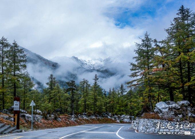 大爷卖“天价面”，60元一碗，每天限量50碗，食客：价格太低了！