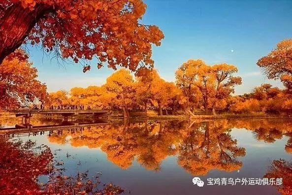 广州知识城：十台制冷主机设备吊装及就位